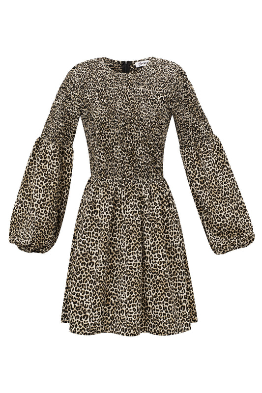 Leopard Mini Dress