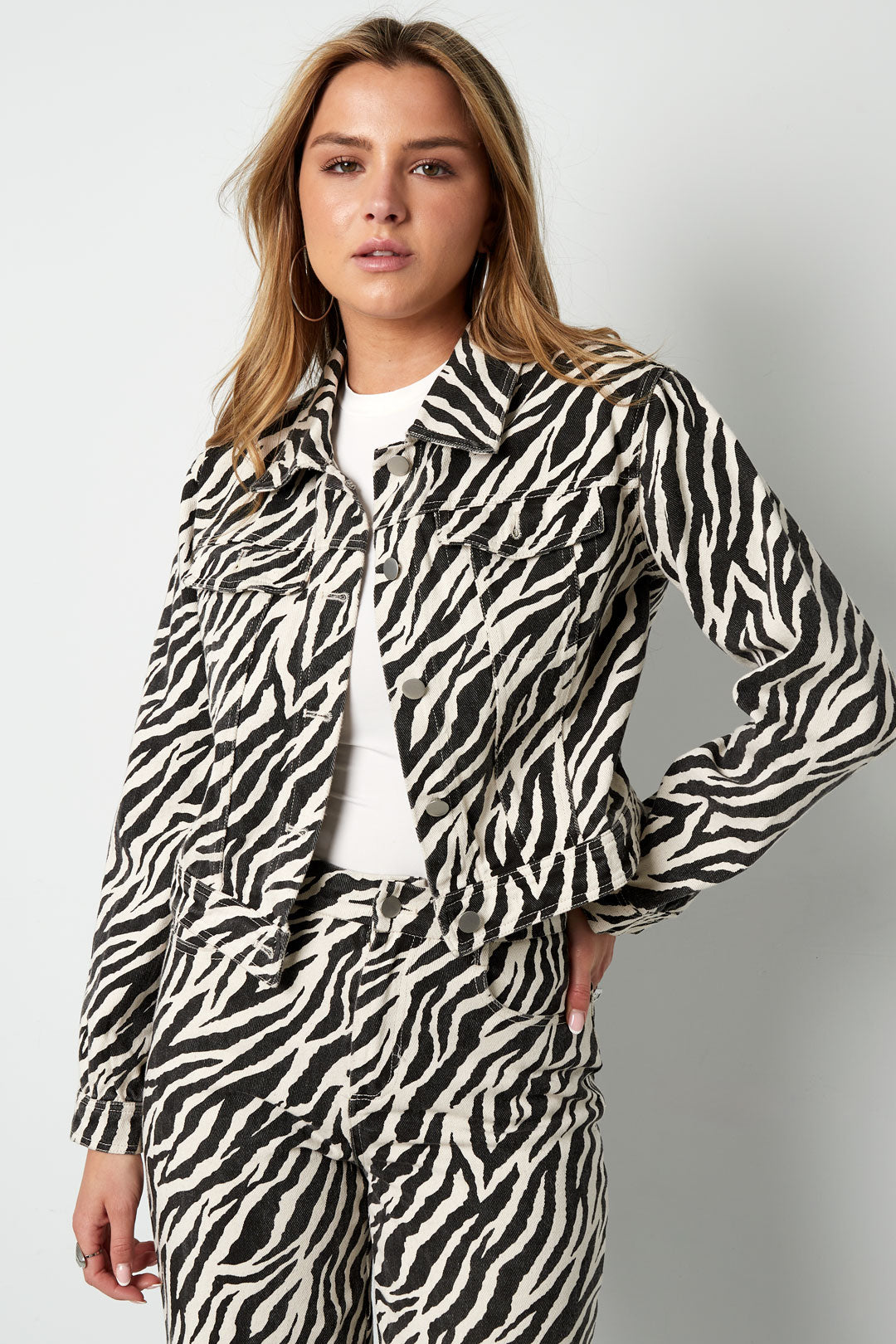 The Zebra Jacket