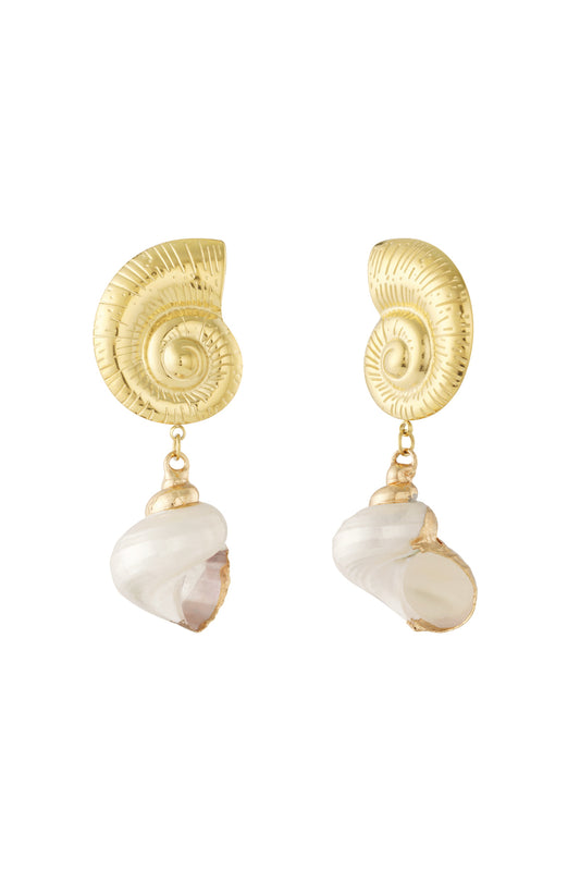 Stainless Steel Drop Earrings Turtle Casual Holiday/Beach Simple Series Women's jewelry