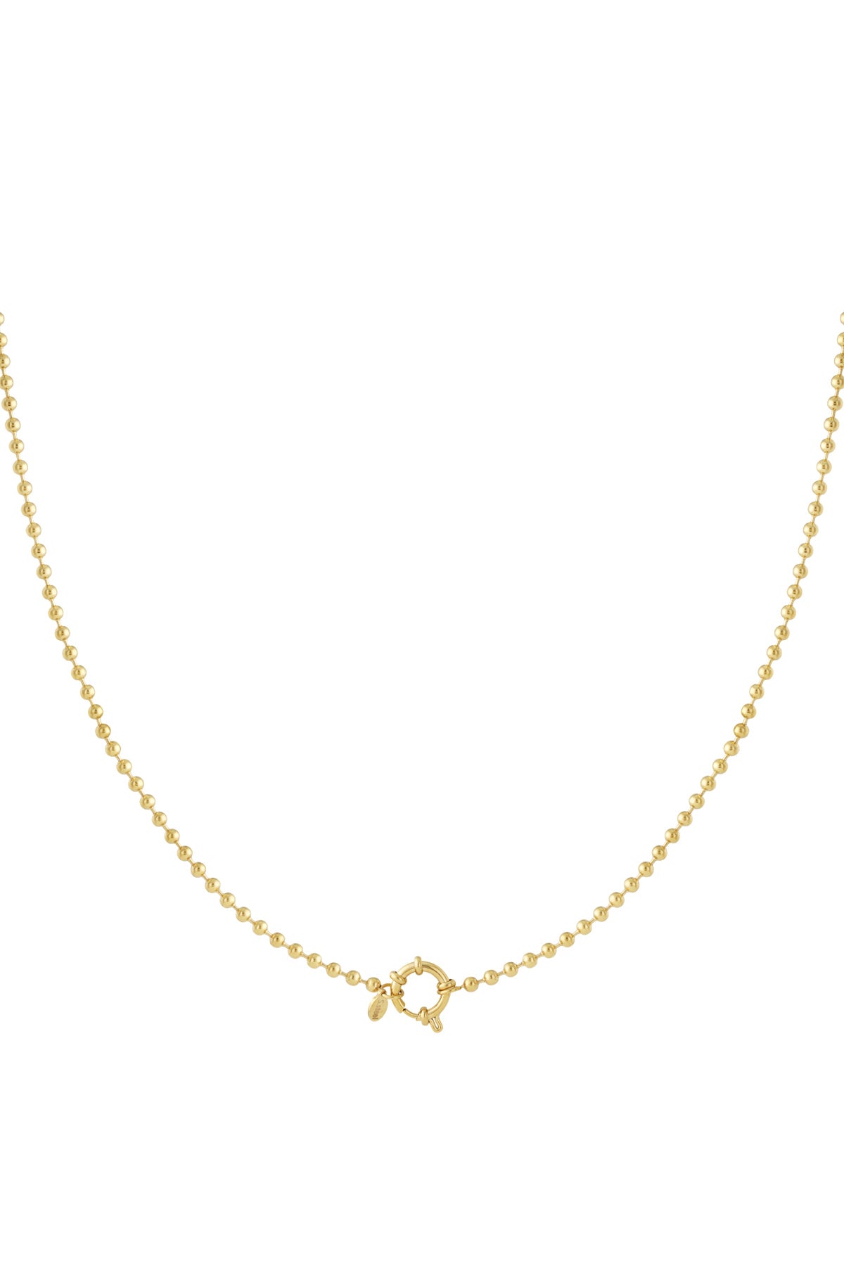 Stainless Steel Chain Necklaces Geometric Casual Daily Simple Series Women's jewelry