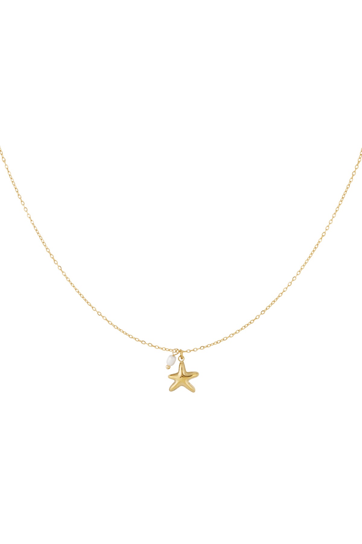 Starfish necklace