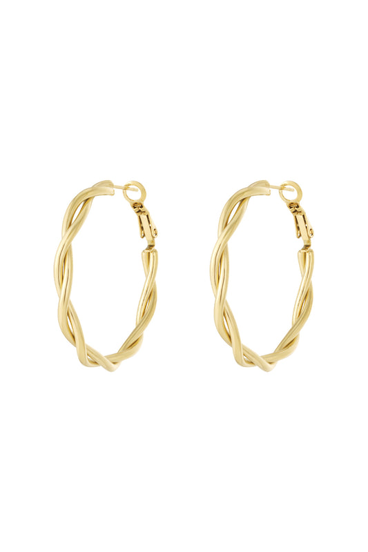 Stainless Steel Hoop Earrings Geometric Casual Daily Simple Series Women's jewelry