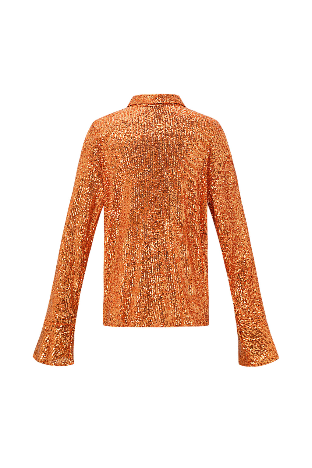 Glitter Long sleeve Blouse