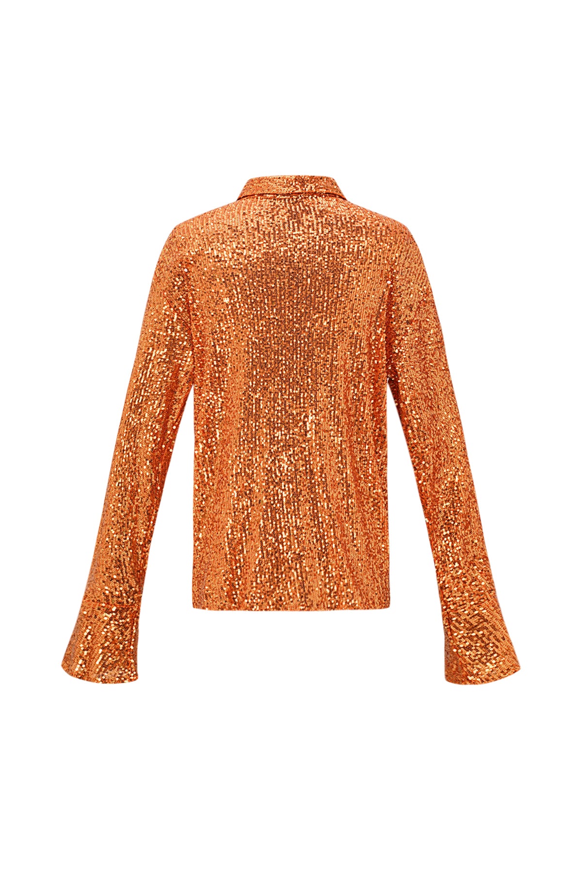Glitter Long sleeve Blouse