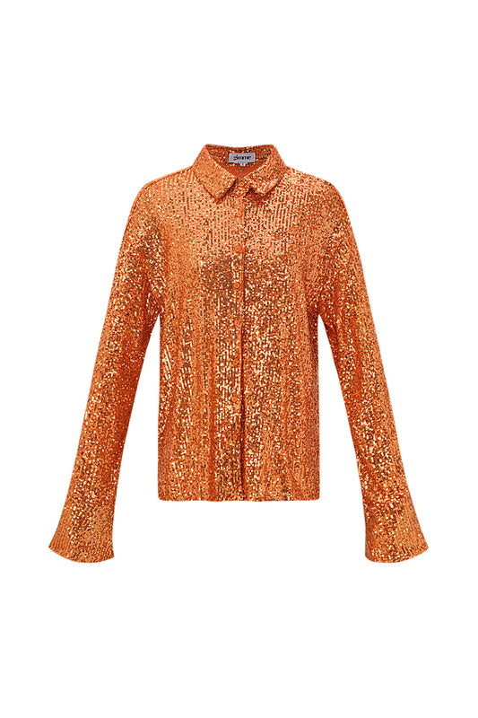 Glitter Long sleeve Blouse