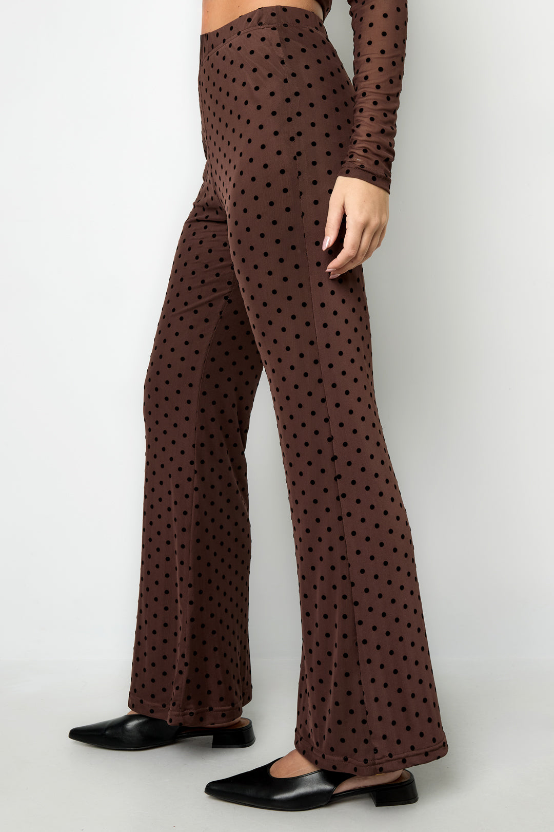 The Polkadot Set Pants