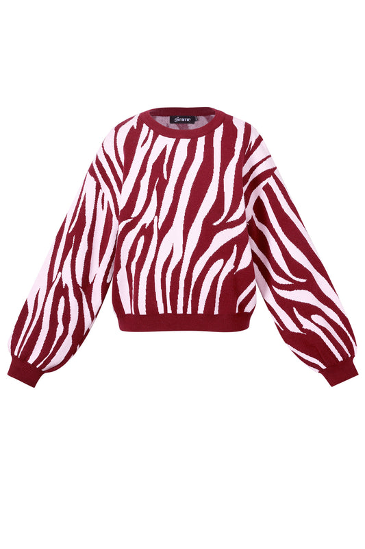 Knitted sweaters Zebra stripes Casual autumn/winter clothing