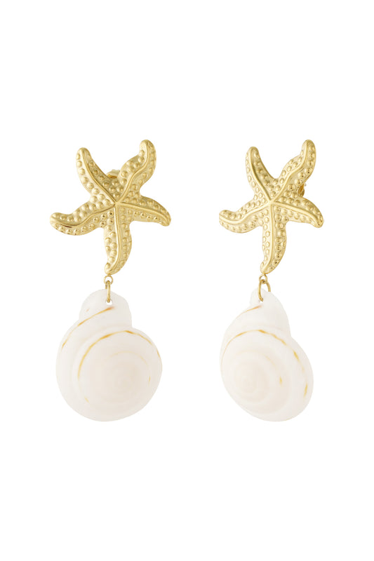 Stainless Steel Drop Earrings Turtle Casual Daily Simple Series Women's jewelry