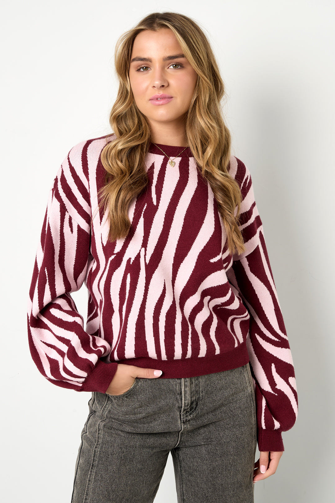 Knitted sweaters Zebra stripes Casual autumn/winter clothing