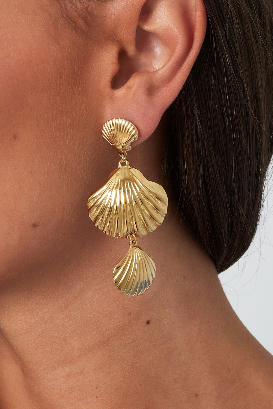Trio shell Earrings