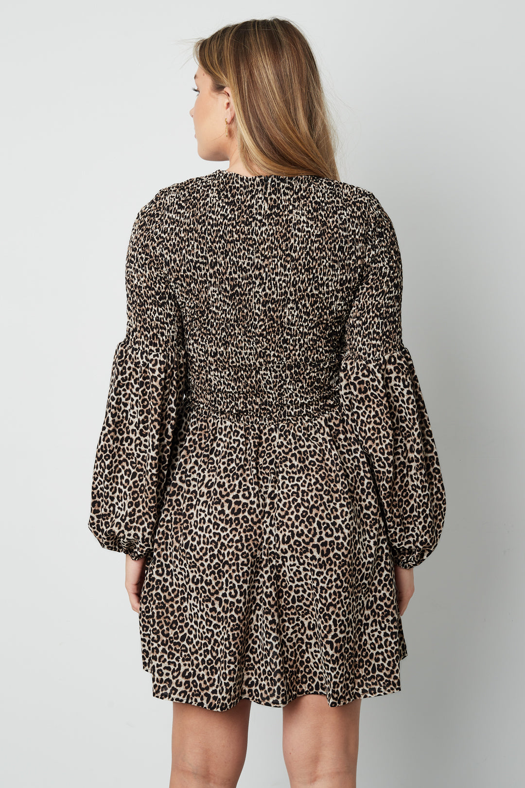 Leopard Mini Dress